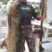 Leccia da 34 kg